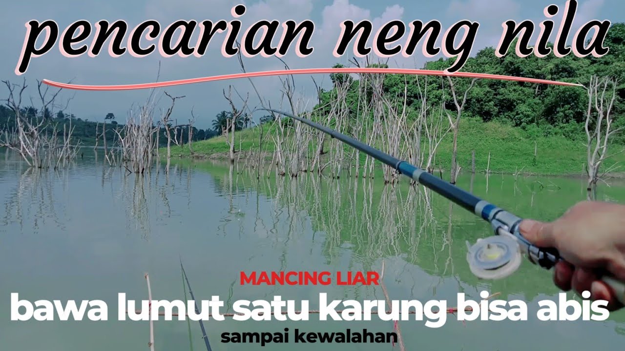 KEMBALI MANCING LIAR..KALO GINI CARANYA BAWA LUMUT SATU KARUNG HABIS ❌ AUTO TANGAN PEGEL