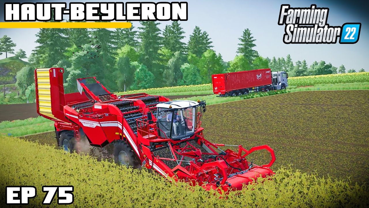 WAS IT WORTH IT? FIRST POTATO HARVEST | Farming Simulator 22 - Haut-Beyleron | Episode 75