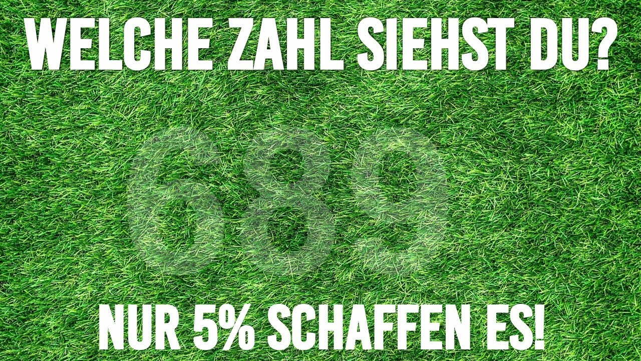 Hast du ein PERFEKTES SEHVERMÖGEN? - Nur 5% schaffen diesen Sehtest!