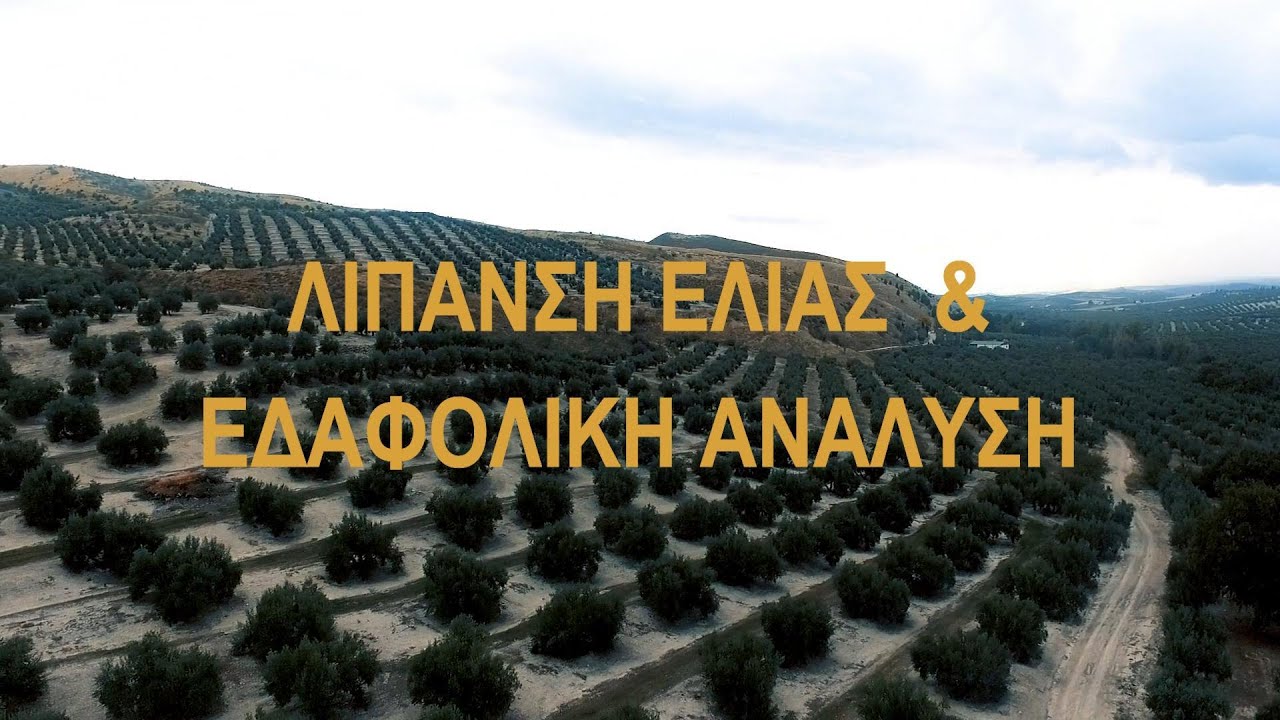 Λίπανση ελιάς & Εδαφολογική ανάλυση.