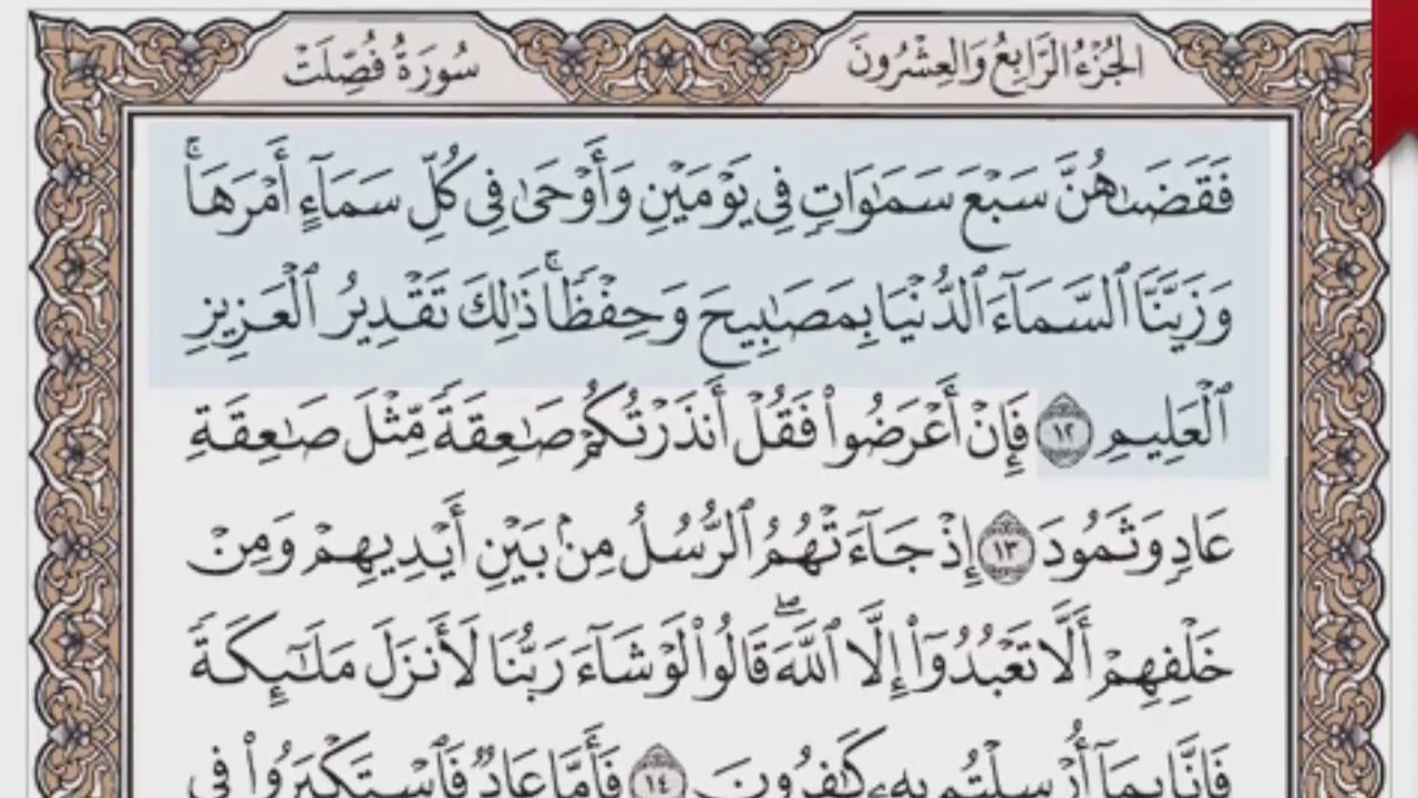 القرآن الكريم بالصفحات صوت وصورة ص/ 478 الشيخ محمود خليل الحصري بمد المنفصل