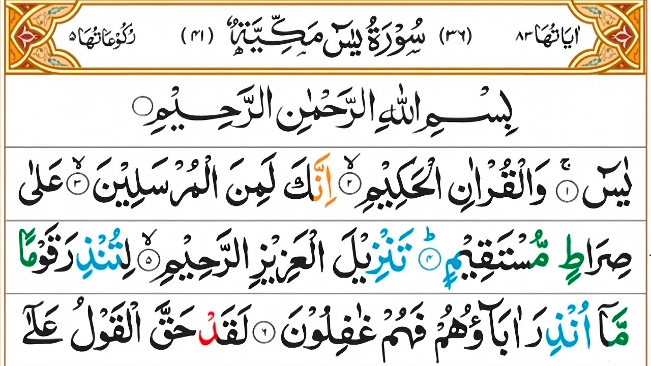 Surah Yaseen | Dil Ko Sukoon Dene Wali Tilawat | noor recitation | 