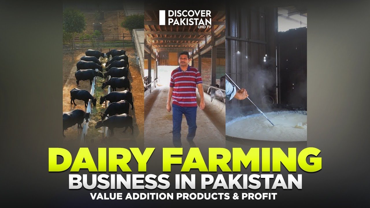Dairy Farming Business in Pakistan | Value Addition Products & profit | Kissan Ka Pakistan