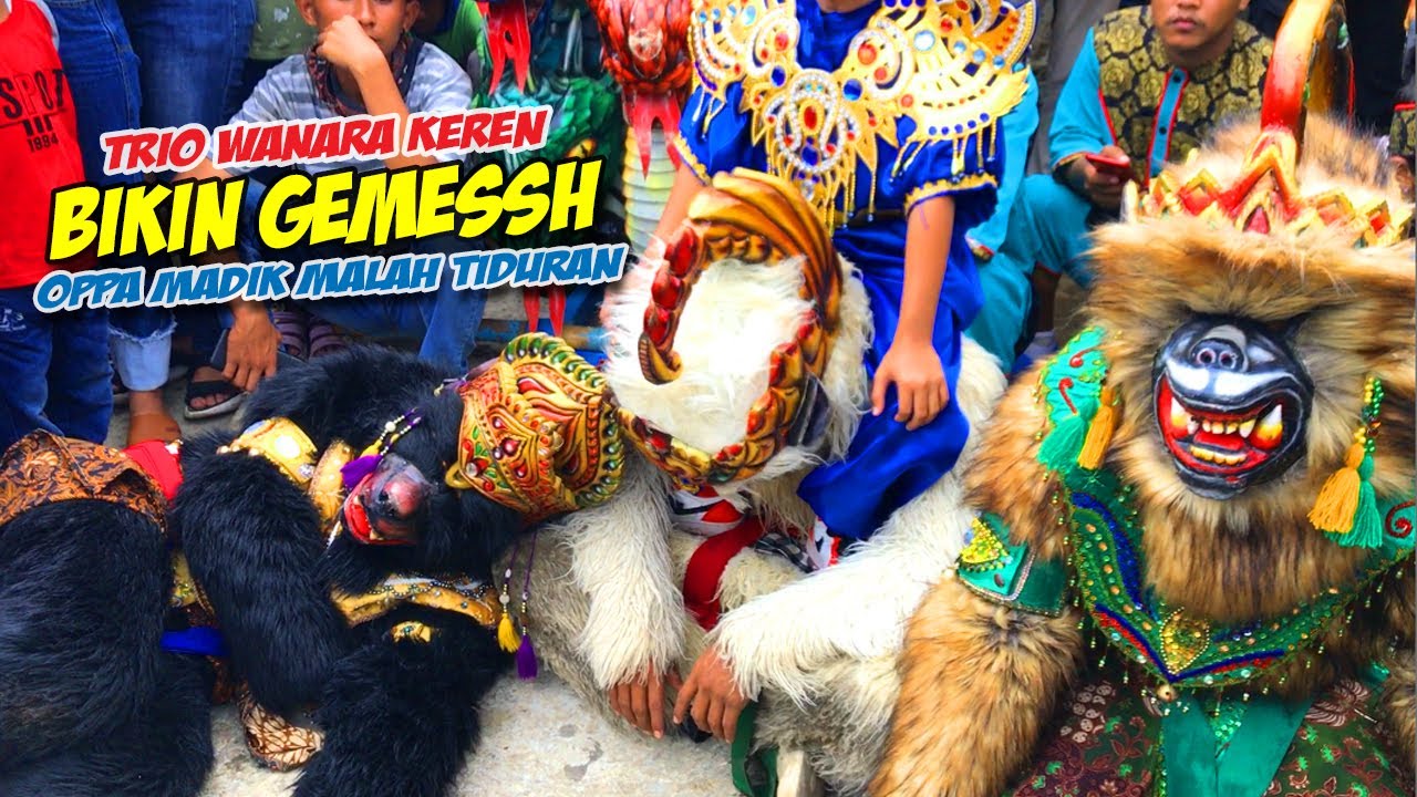 LEBIH DEKAT DENGAN TRIO HANOMAN YANG BIKIN GEMESH PENONTON ❗❗ KUDA LUMPING MSP🔥BARGOLA TV