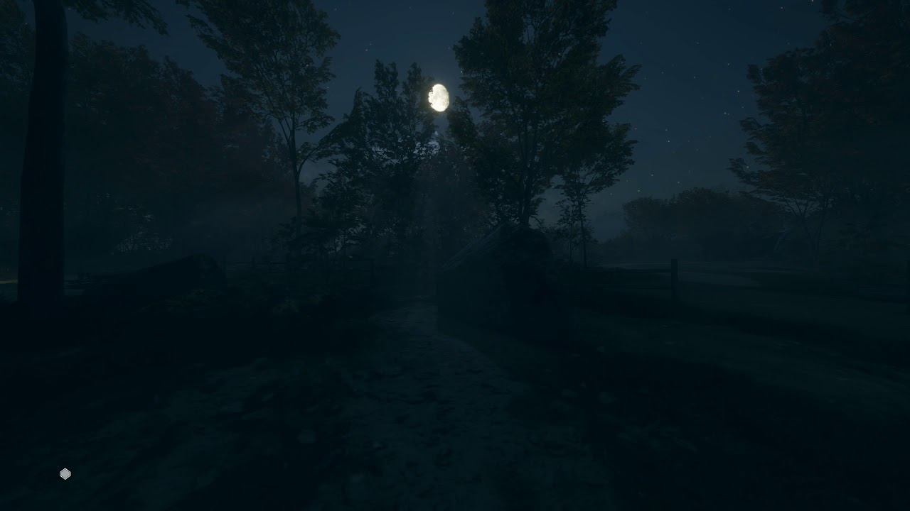 Ambient Sounds - European forest - A night in Hirschfelden