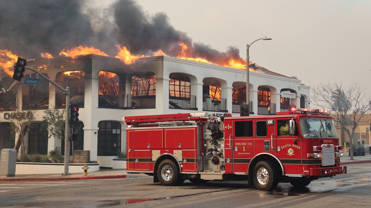 Palisades Fire | January 7, 2025