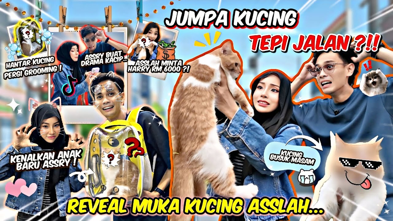 FINALLY ASSLAH REVEAL MUKA KUCING ASSRY !! DRAMA KACIP ASSRY IS BACK !! KUCING OYEN RM7000 ?!! 