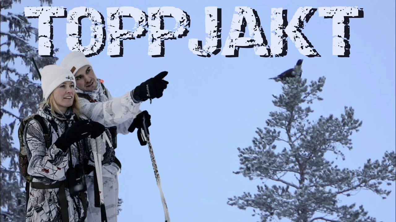 TOPPJAKT - 150 klick