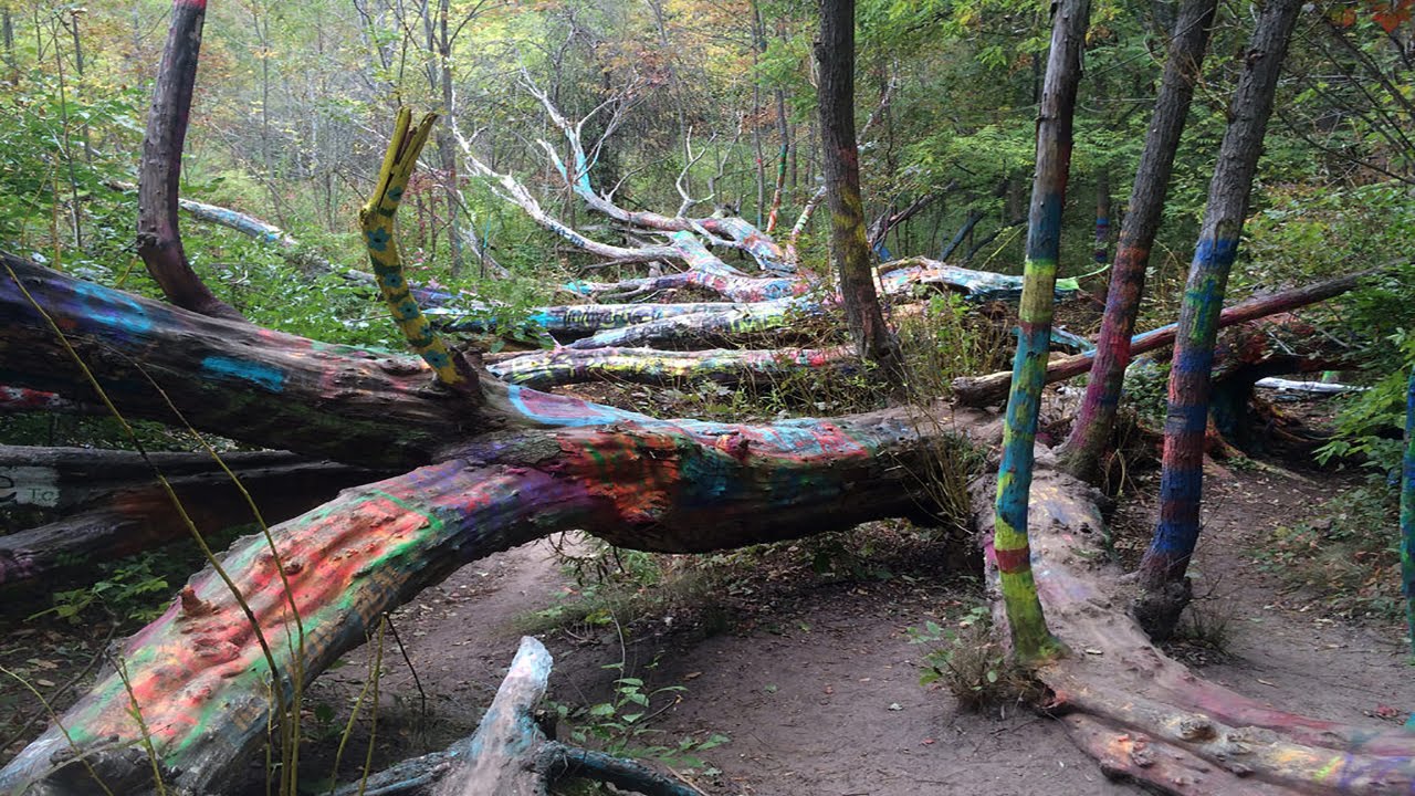 Detailed Visual Directions On How To Get To The Hippie Tree Of Traverse City Michigan - [HD]