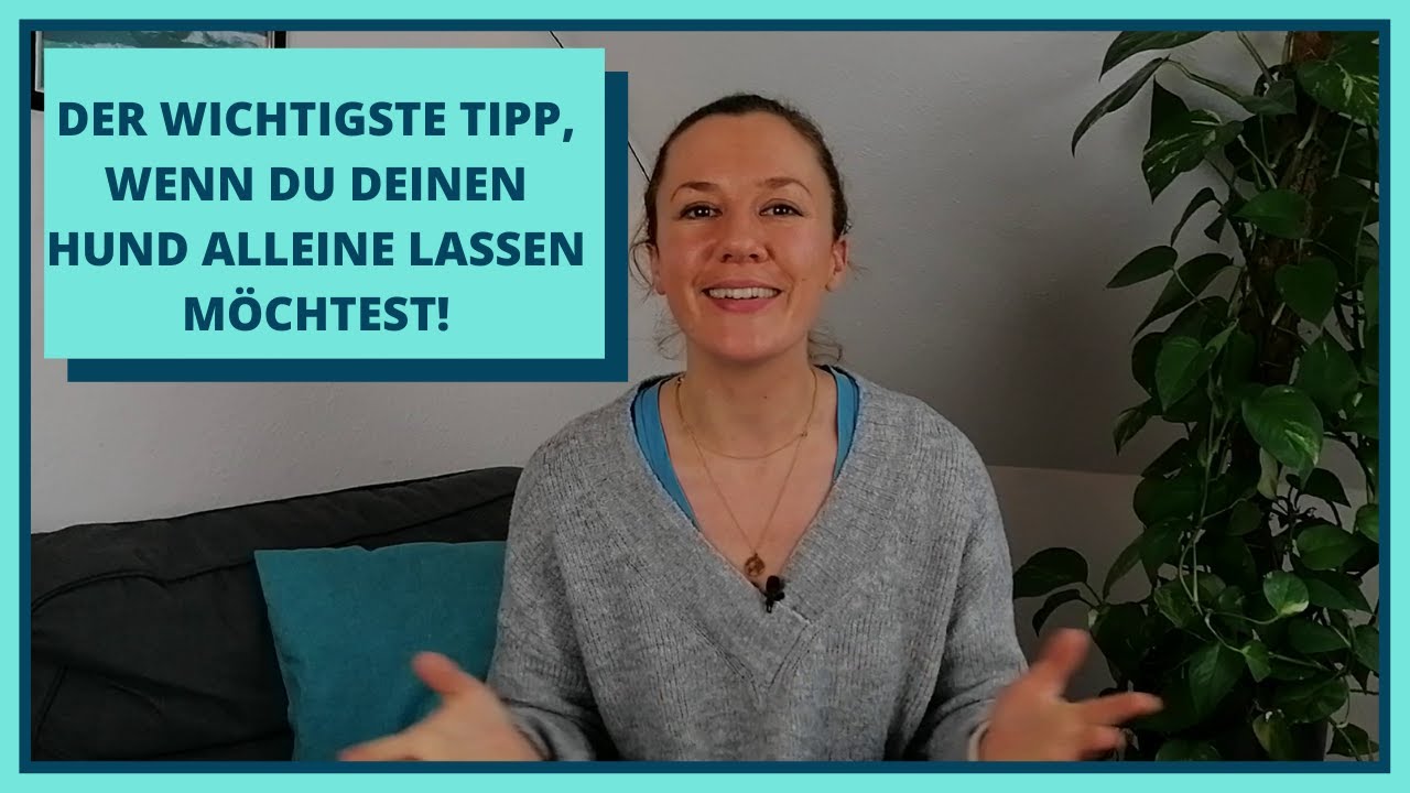 Der wichtigste Tipp, wenn dein Hund nicht alleine bleiben kann.