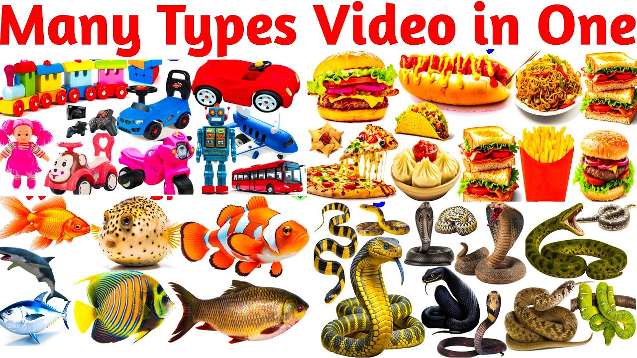 Kids educational video🤑🤑 || many types animal snke, game, fruits name, birds name,sea animal, wilds 