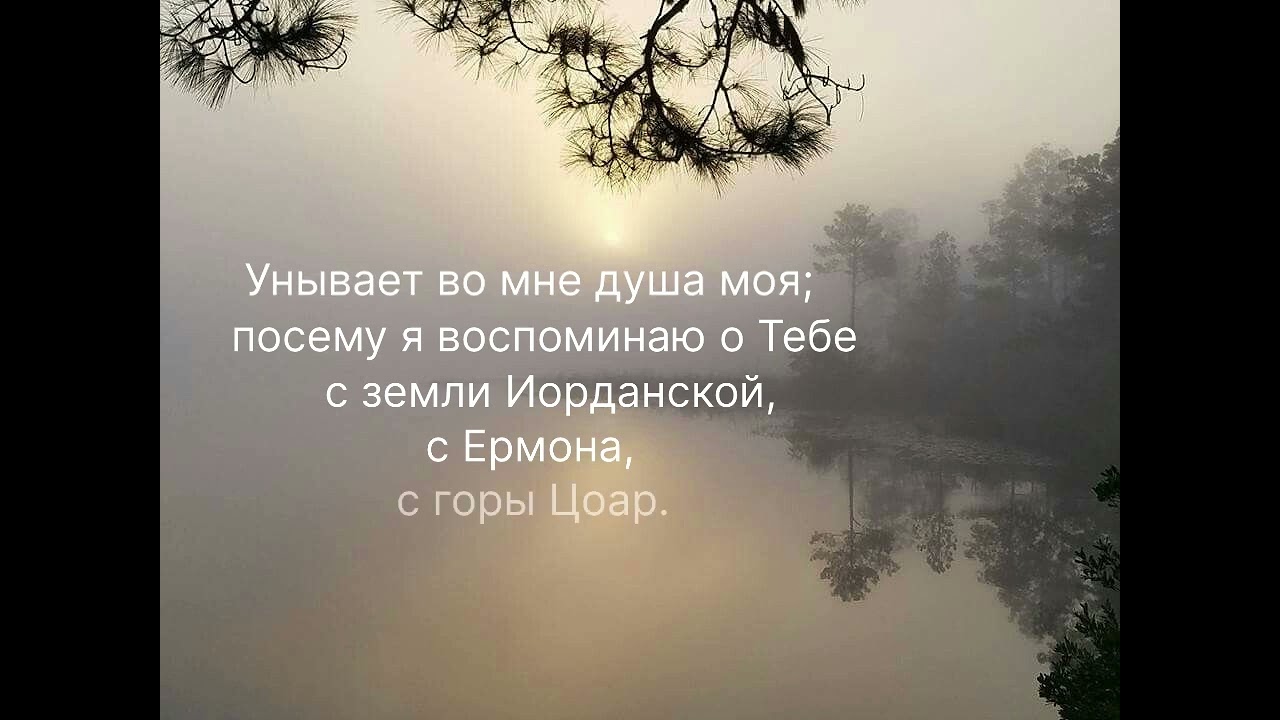 Псалом 41