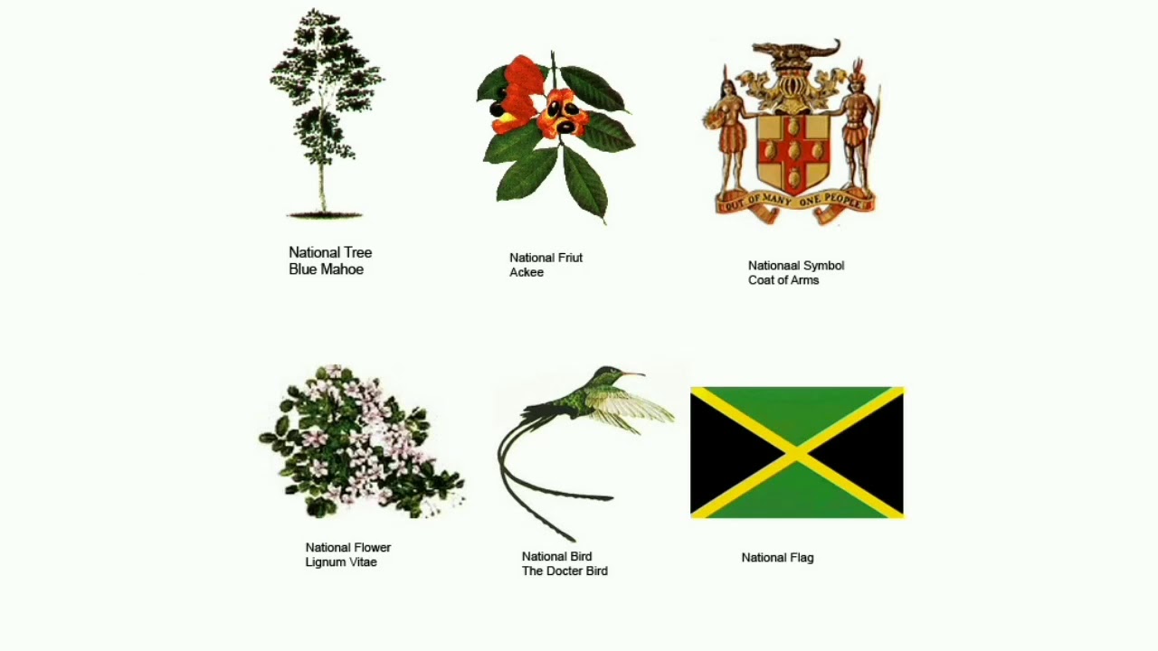 Jamaica's National Symbols