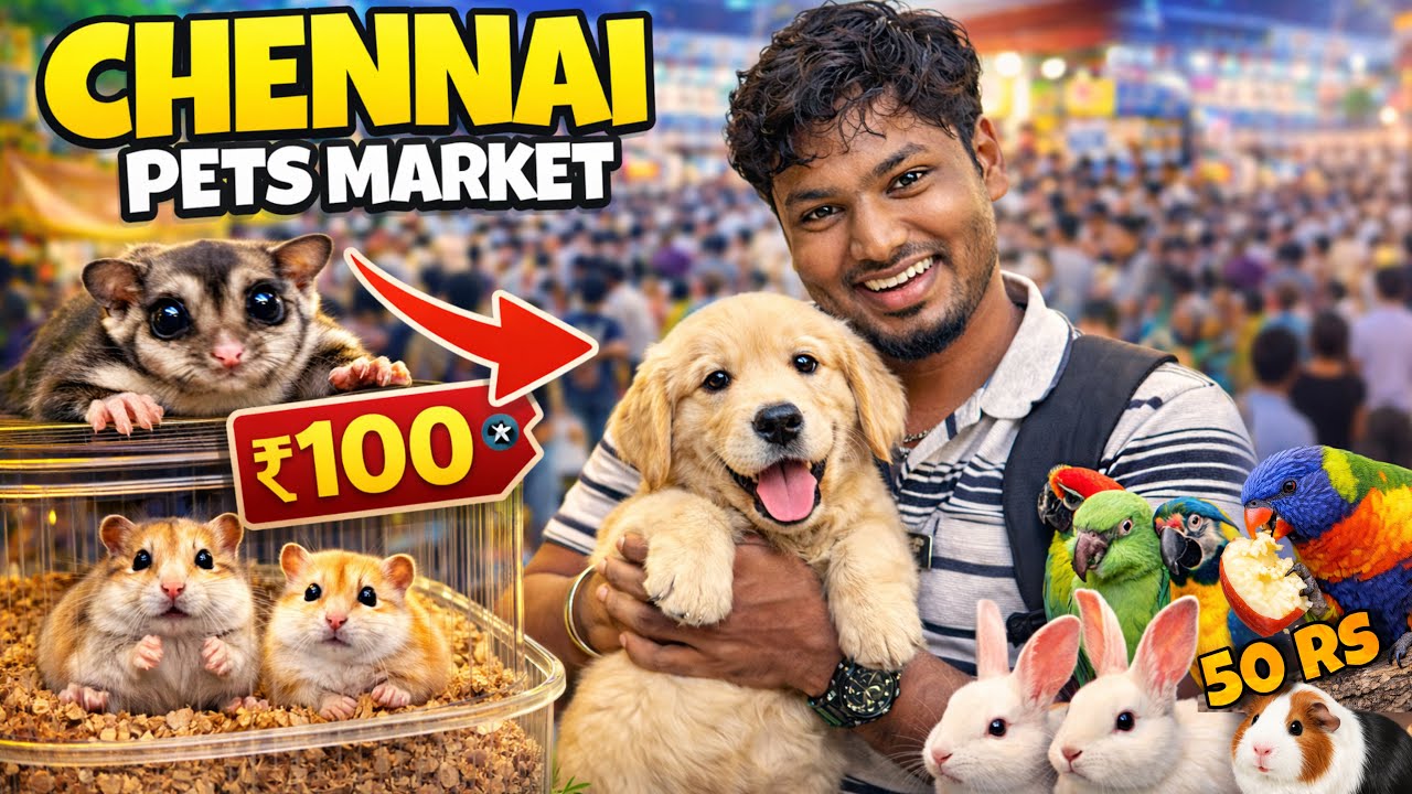 Chennai Sunday Pets Market 2026 🐕🐈 | All Pets Price List
