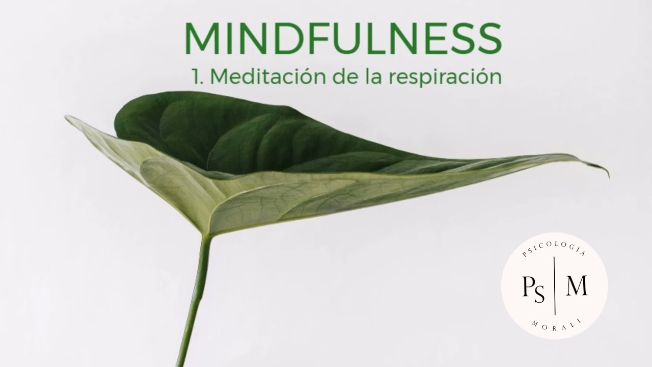 1. Meditación de la Respiración