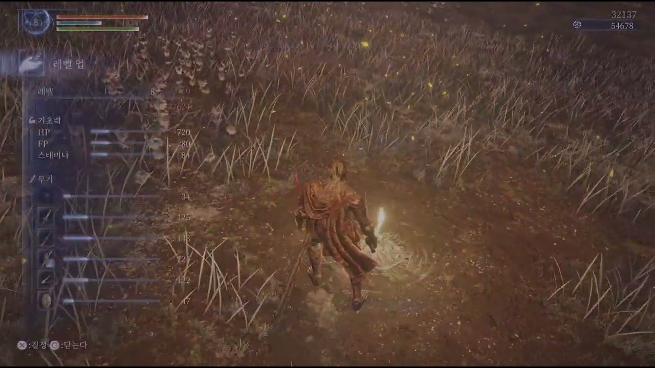 ELDEN RING NIGHTREIGN_풀고르