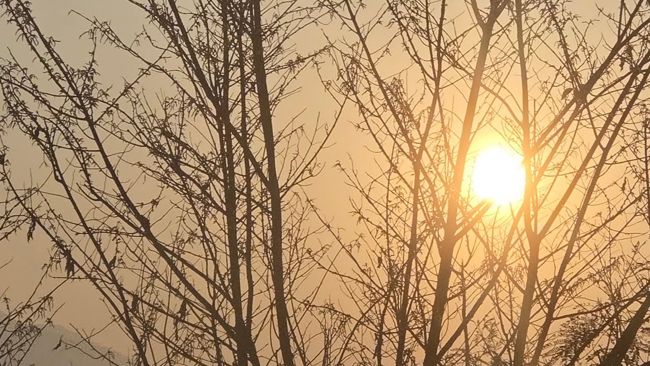 ShilpaVibes💫 is live....beautiful morning