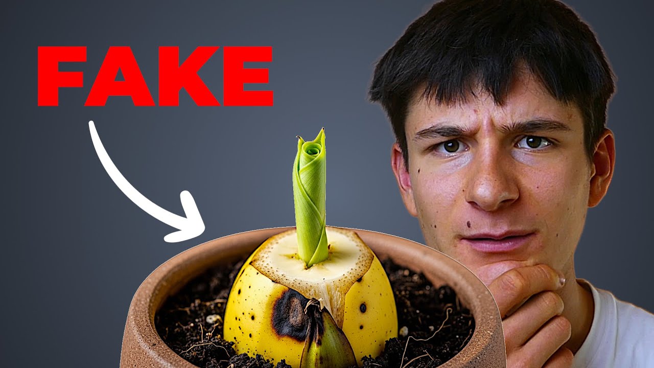 Perch&egrave; piantare le banane da seme &egrave; IMPOSSIBILE