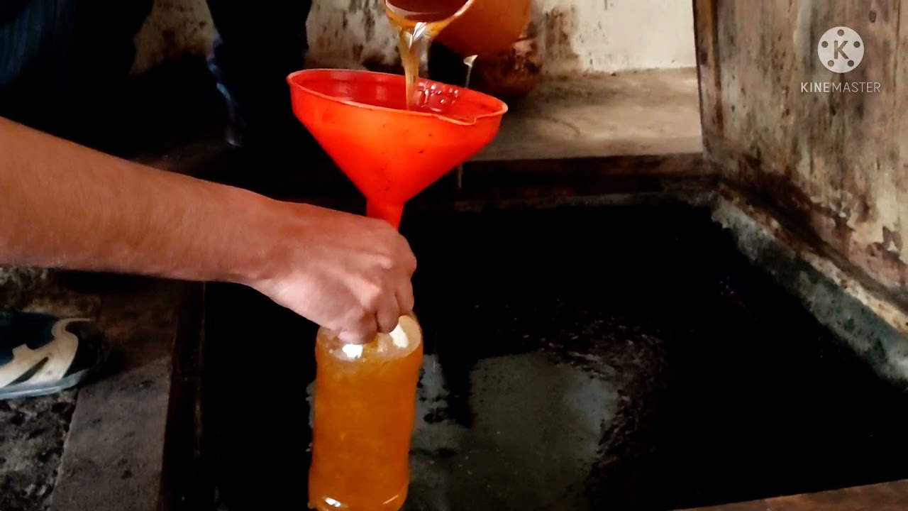 زيت زيتون البكر البلدية من أروع مايكون لي بغاها مرحبا