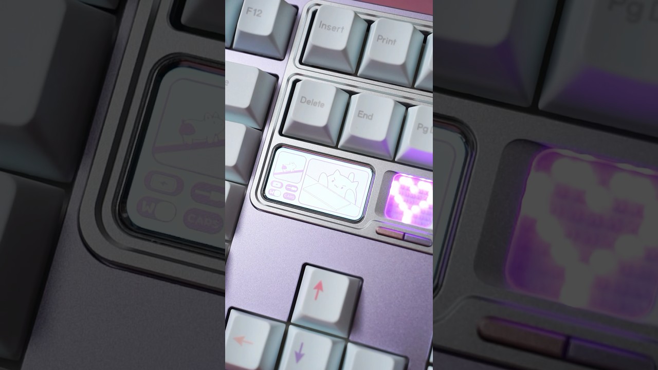 Looking for a numpad and a led screen? QK101