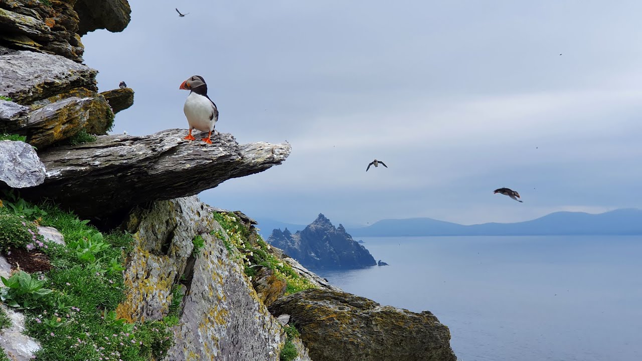 Irland - die Westküste - ein Tag auf Skellig Michael