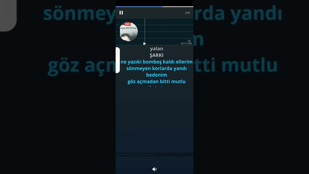 Selahattin özdemir hepsi bir yalan karaoke