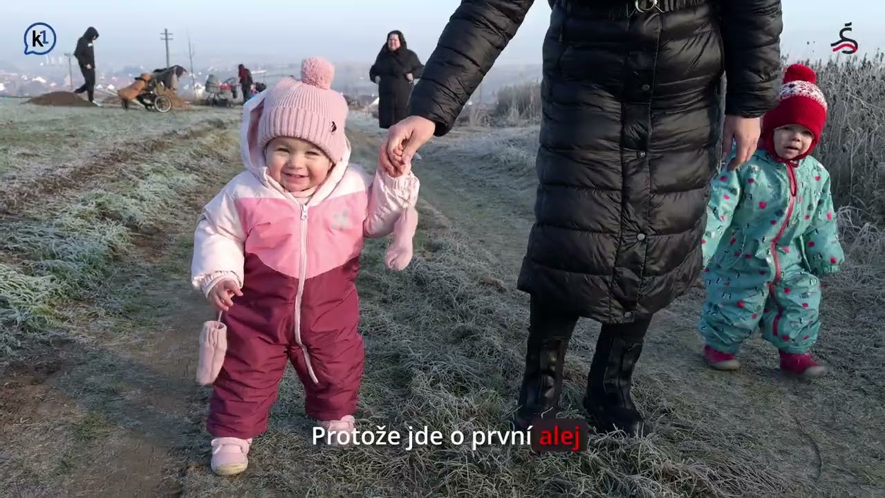 Kořeny nových příběhů: v Šardicích vysadili alej života