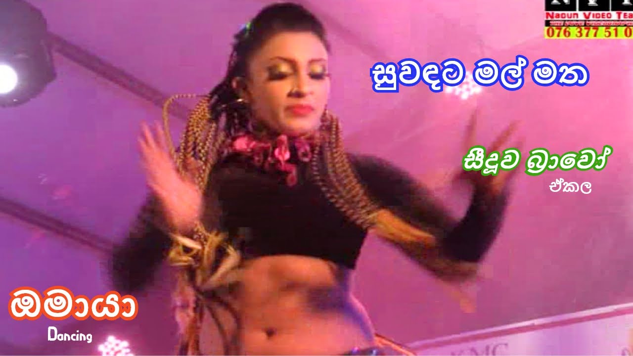 Suwandata Mal Matha | Seeduwa Bravo | Omaya | සුවඳට මල් මත | සීදූව බ්‍රාවෝ | ඔමායා