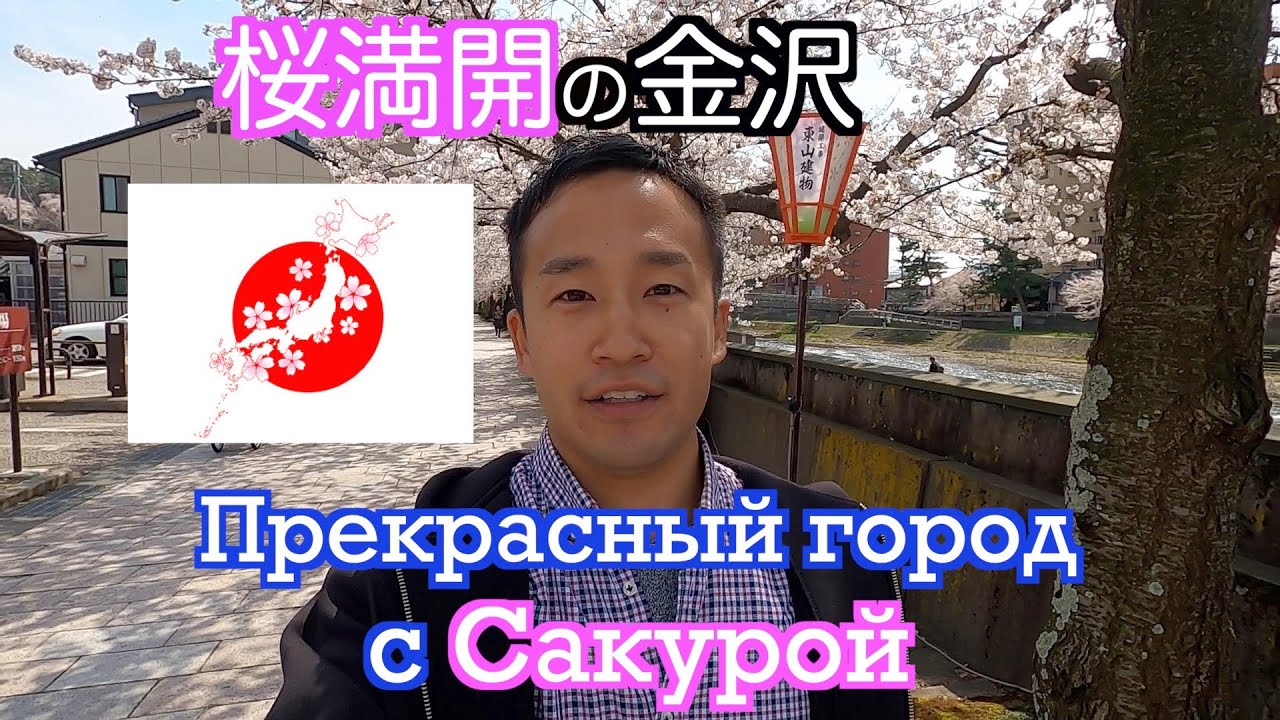 ロシア語で桜満開の金沢を案内　Сакура в Канадзаве