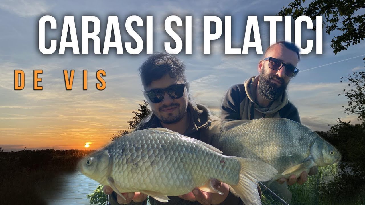 PLATICI si CARASI ENORMI ! O NADA Perfecta,RETETA Porumb,Drilluri superbe si Mancare pe Cinste !