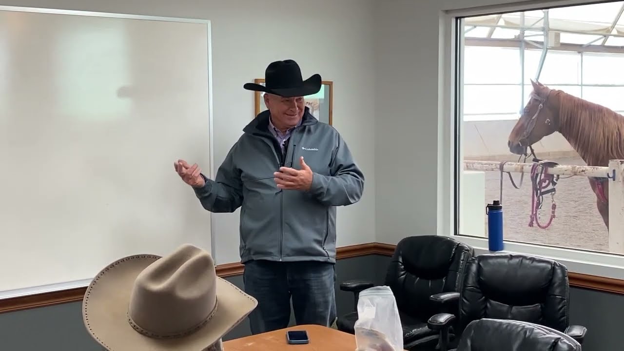 Overcoming Fear And Building Trust With Your Horse
