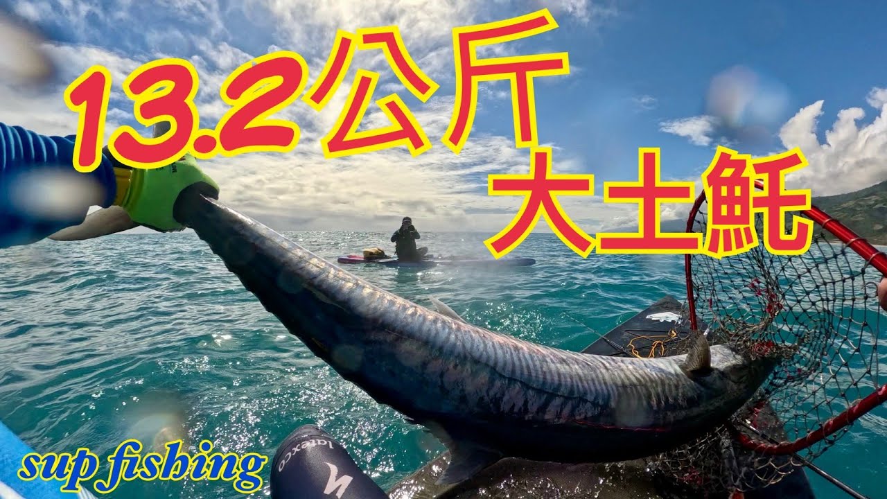 2026年2月紀錄大土魠13.2公斤#土魠 #甘仔魚 #康氏馬加鰆 #supfishing #suptaiwan #shimano #Tuyao