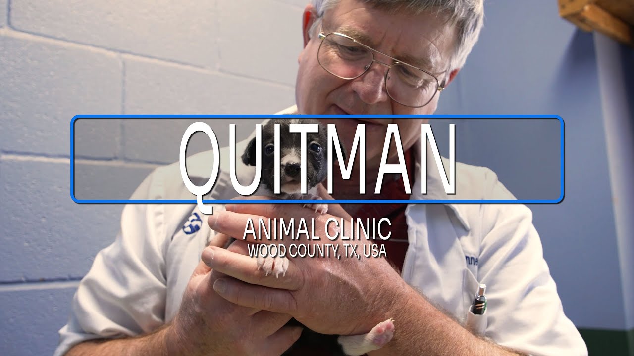 IDEXX Veterinary Software Customer Story | Quitman Animal Clinic