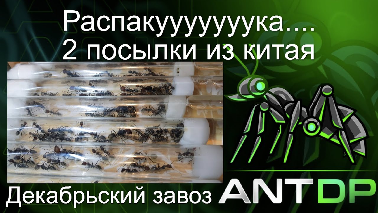 А что там?