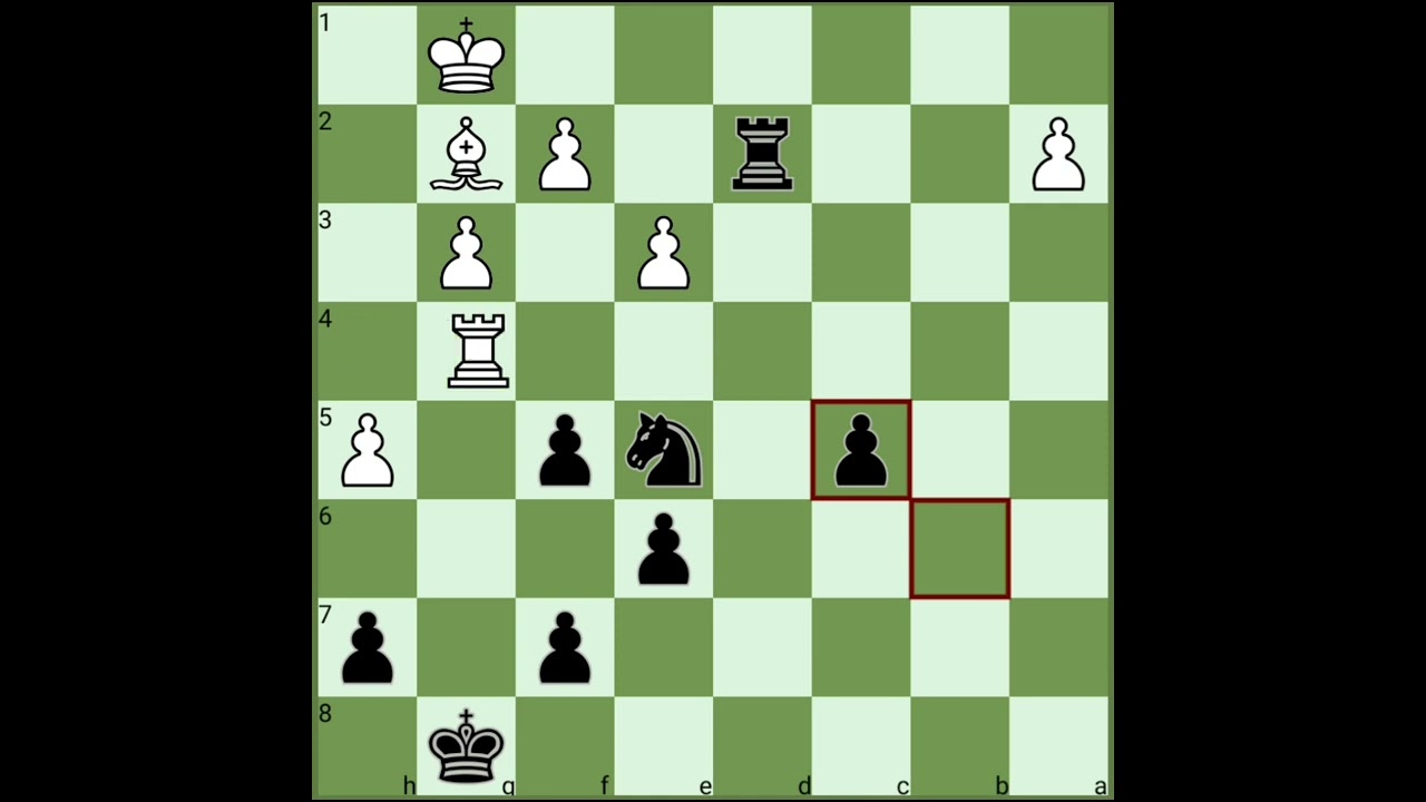 Fischer's Greatest Selected Chess Game V1 | Smyslov vs Fischer (1970)