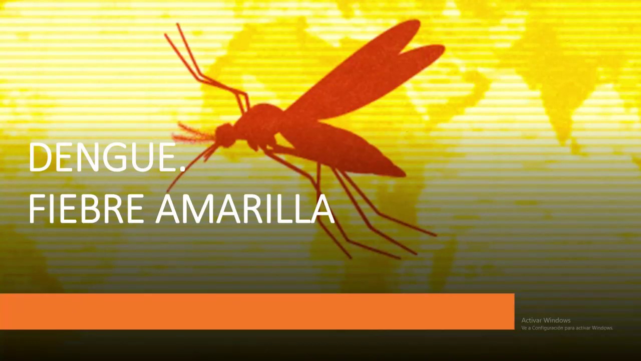 Seminario Injuria - Dengue y Fiebre amarilla