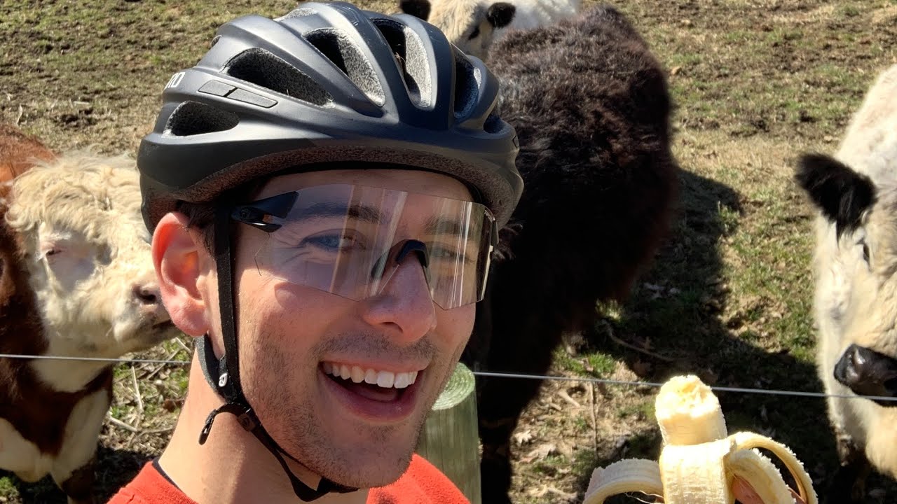 Why Buy Oakley's When You Could Get These? | Tifosi Rail Cycling Glasses Review