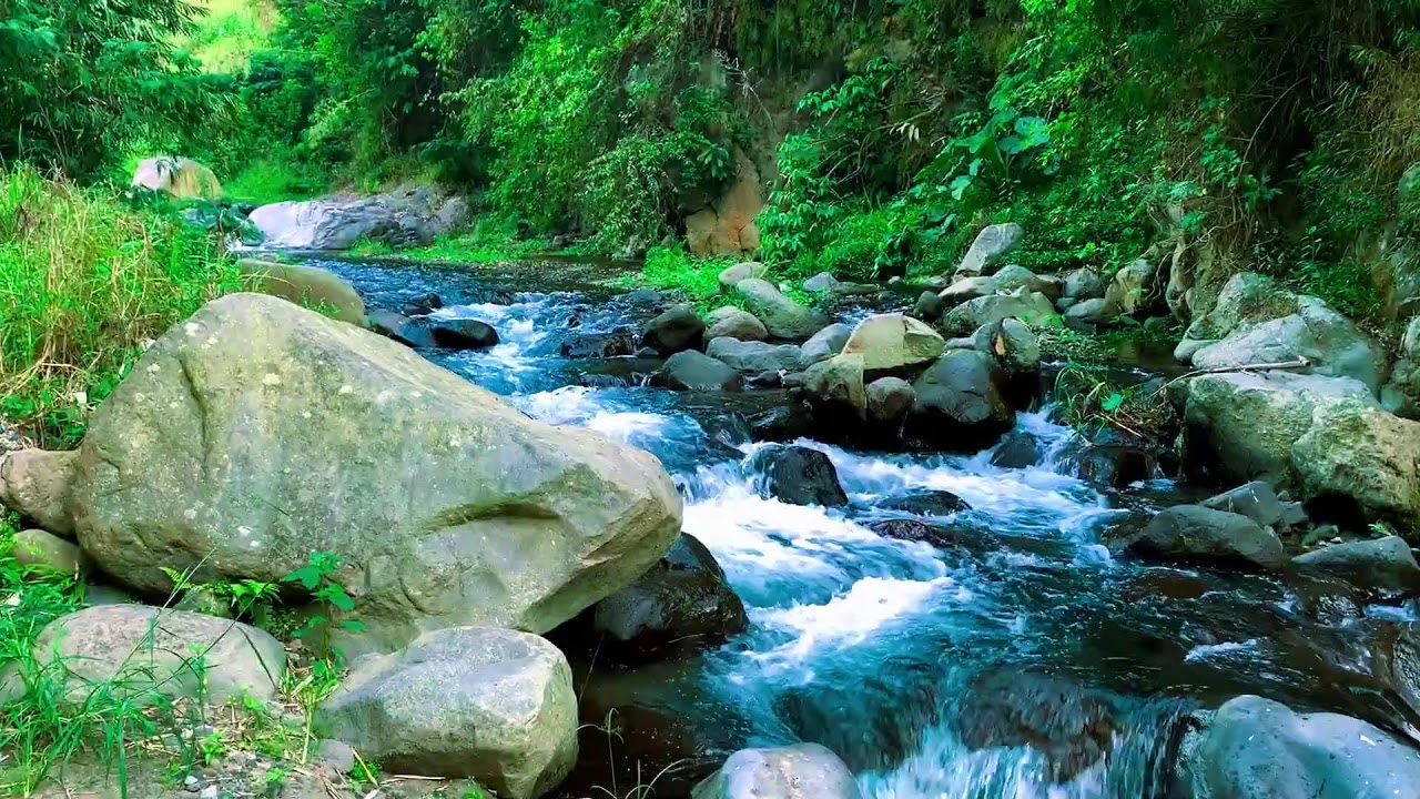 Wilderness Water for Meditation, Calm Mind, Focus