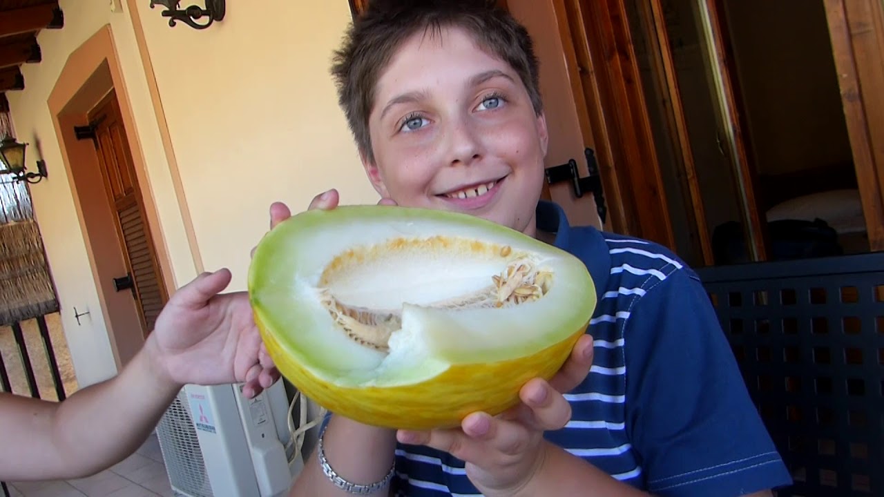 Amazing Greek Food   | LGBT  Family Eating Show And Travel