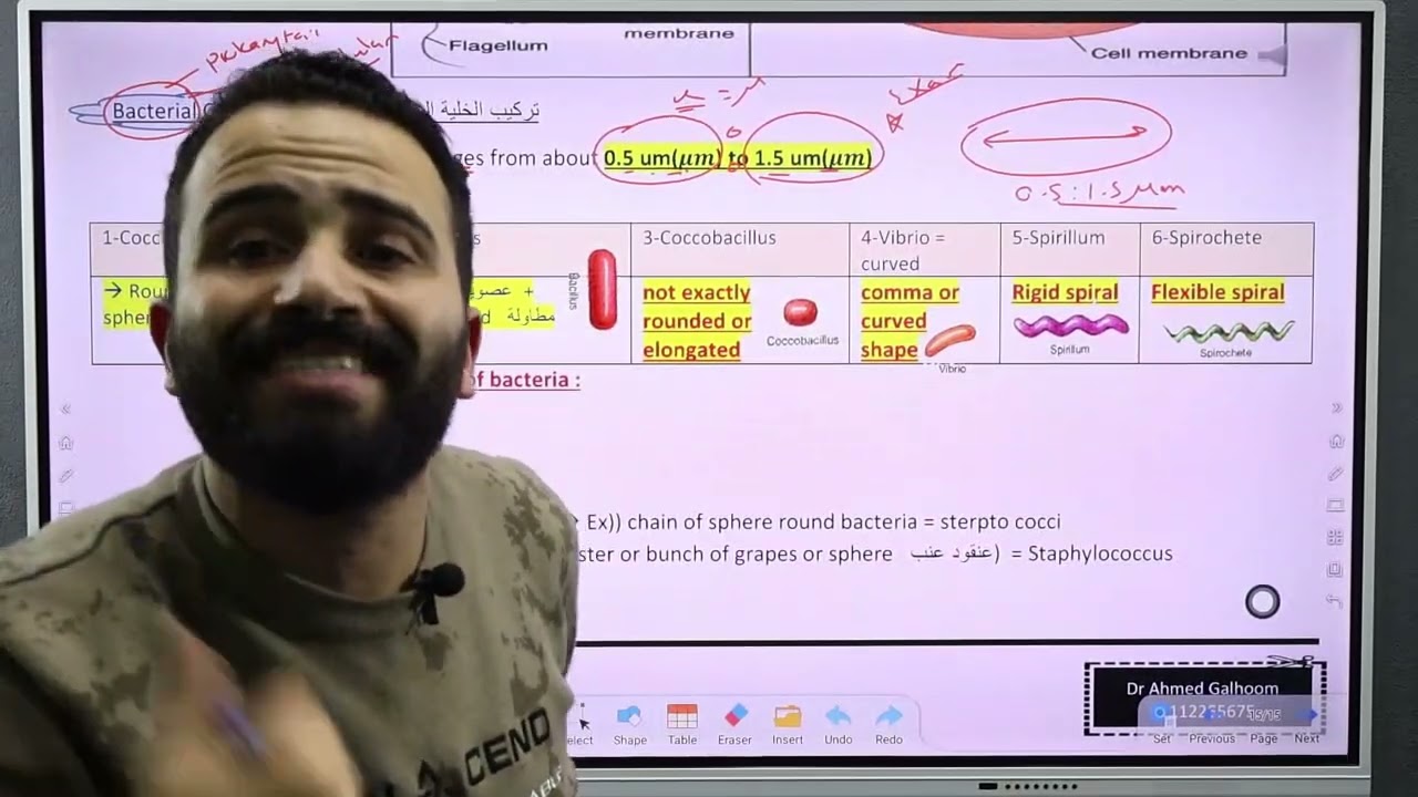 Lecture 1 Bacterial cell structure البكتريا