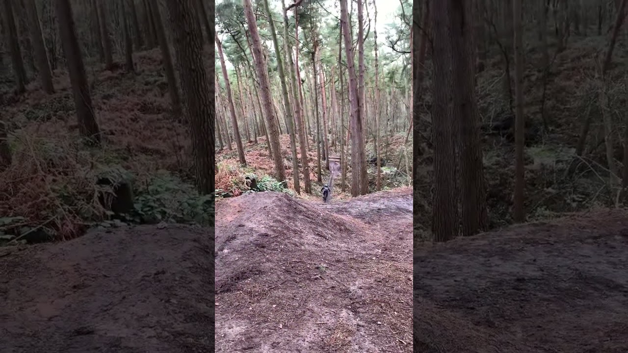 Delamere road gap #dirtjump #jump #mtblife #mountainbike #mtbdirtjump #trending #mtb #dirt #downhill