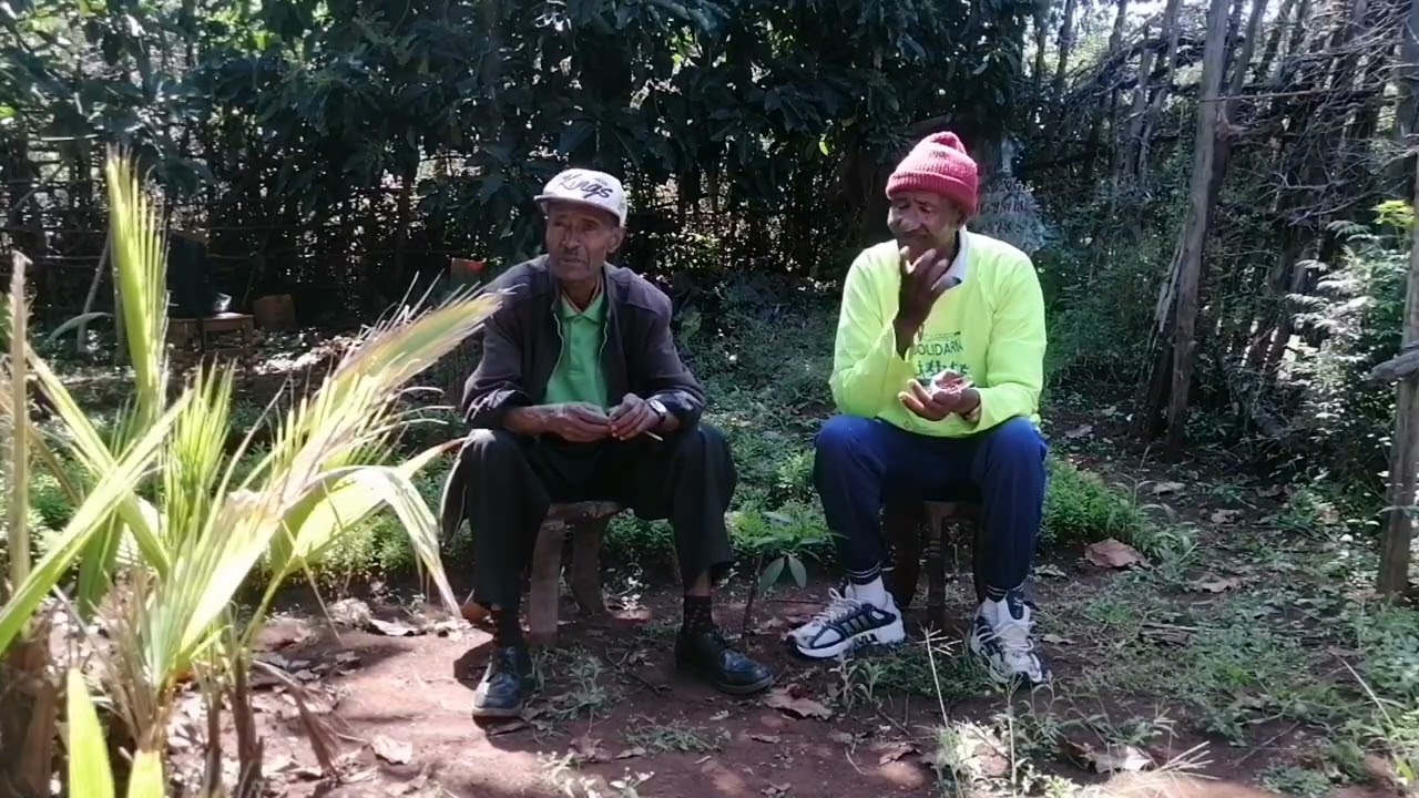 የቡና አተካከል ከባለሙያ አንጻር ክፍል አራት