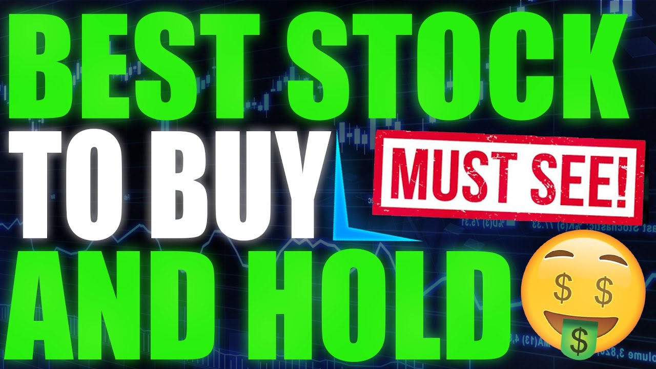 The Best Stock To Buy For The Long Term (2021)
