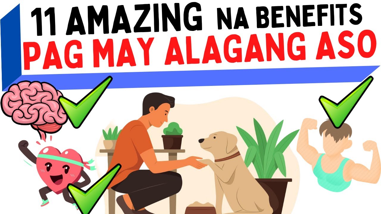🐶 Mga BENEPISYO ng Pag-aalaga ng ASO sa KALUSUGAN, KATAWAN at iba pa | Benefits of owning a DOG