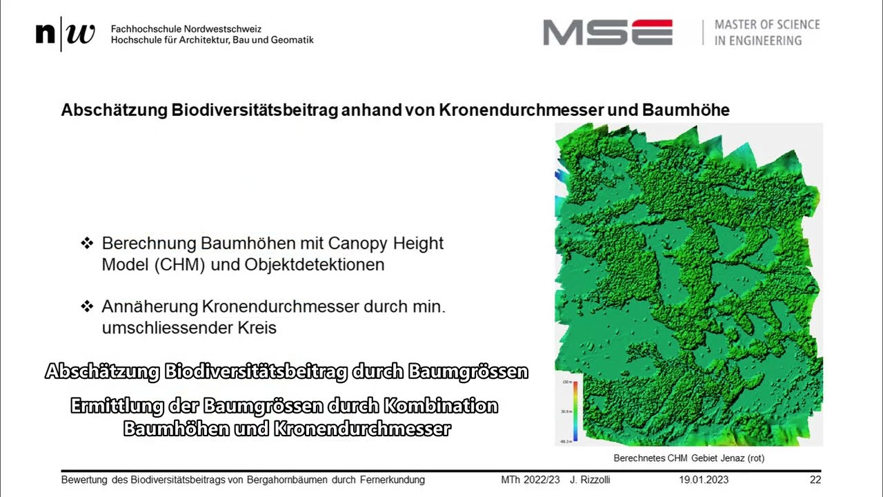MTh HS22 Rizzolli: Bewertung des Biodiversitätsbeitrags von Bergahornbäumendurch Fernerkundung