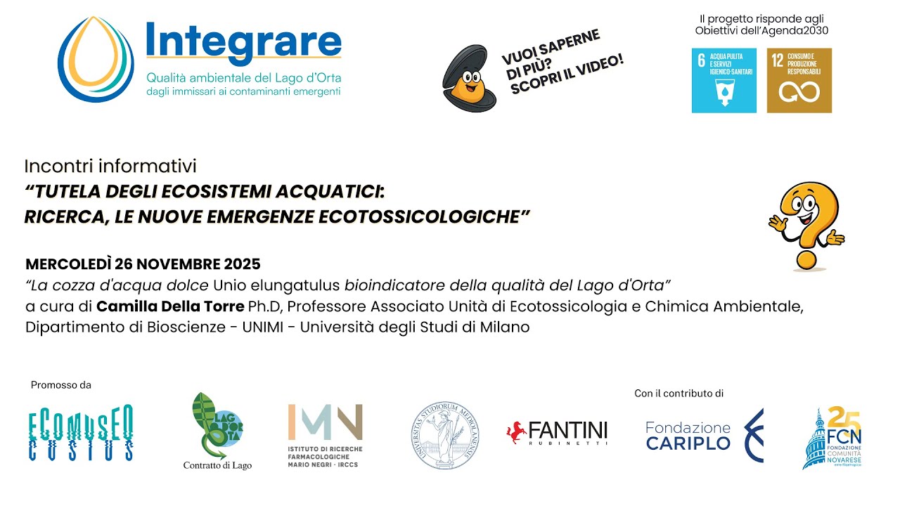 La cozza d'acqua dolce Unio elongatulus bioindicatore della qualità del Lago d'Orta