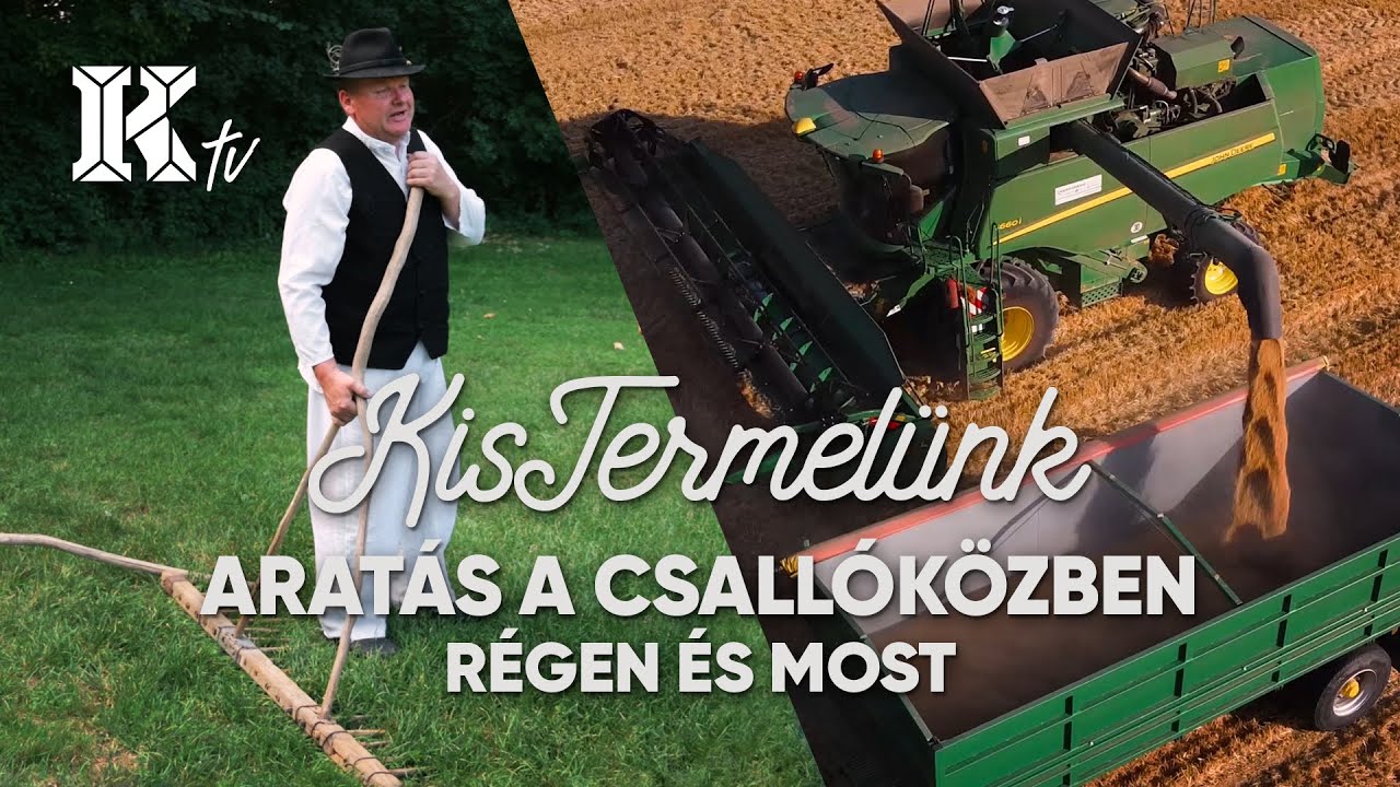 Aratás a Csallóközben régen és most | KisTermelünk