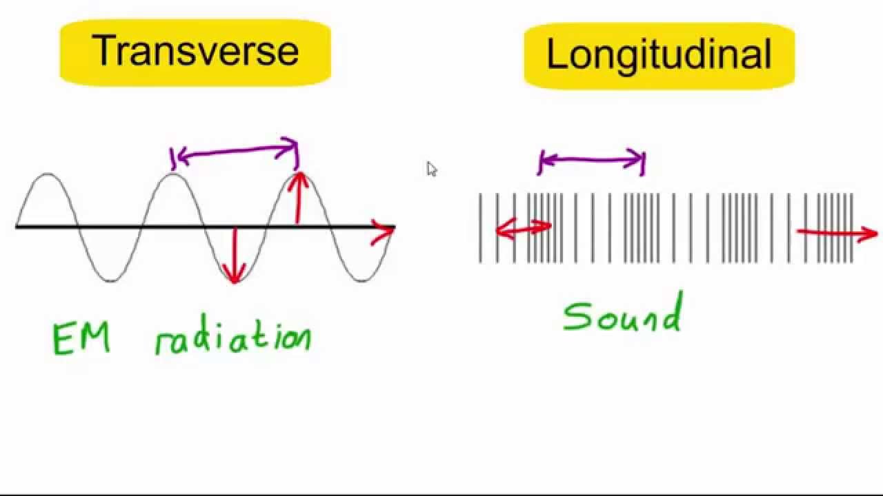 Transverse vs longitudinal waves