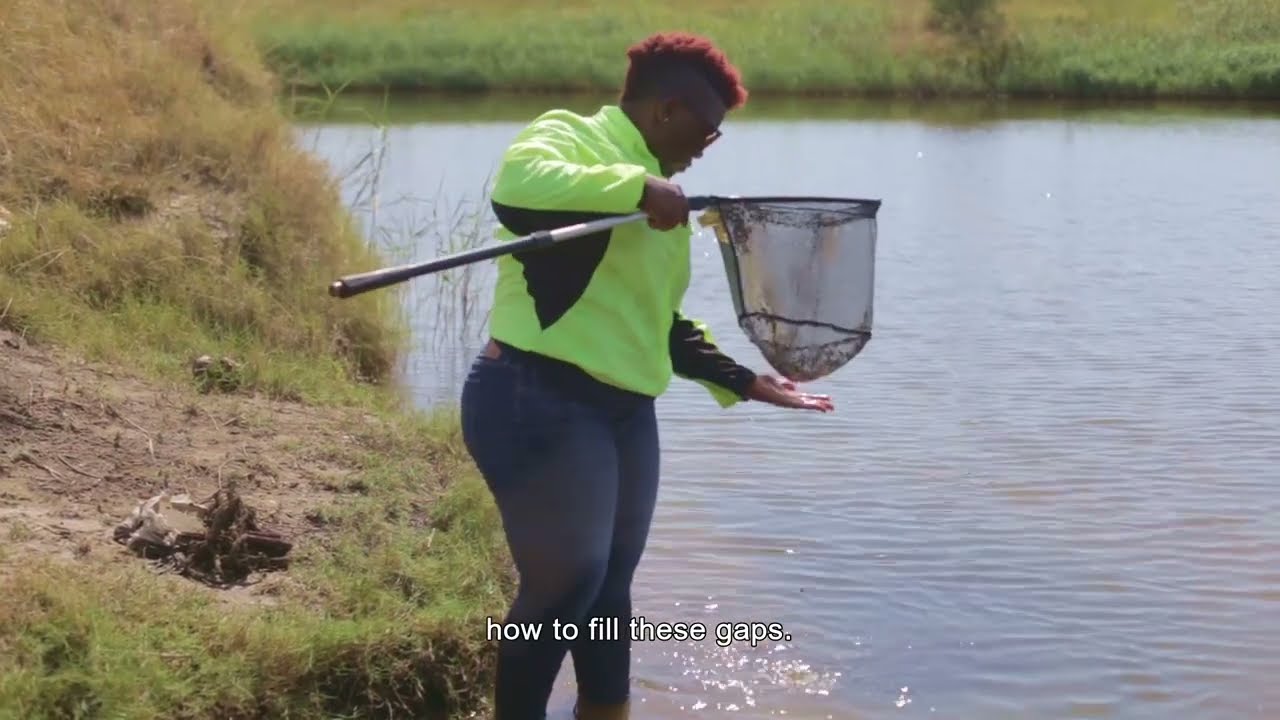 Erica Helena Tovela: Identifying and barcoding Mozambique's fish for biodiversity conservation
