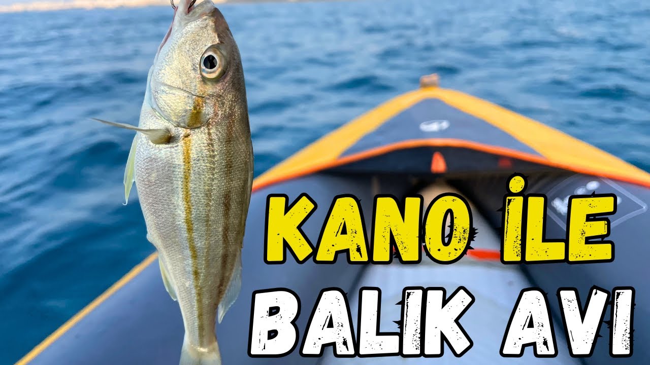 Balık Avı | Sakin Denizde Yemli Av | #fishing #fish